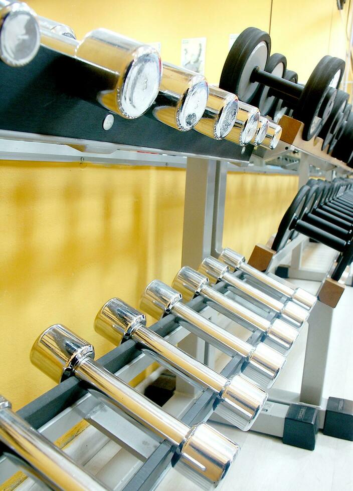 a row of dumbbells on a rack in a gym photo