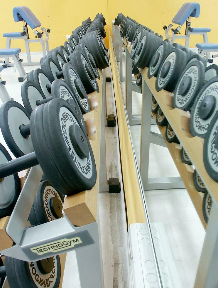 a row of dumbbells on a rack in a gym photo