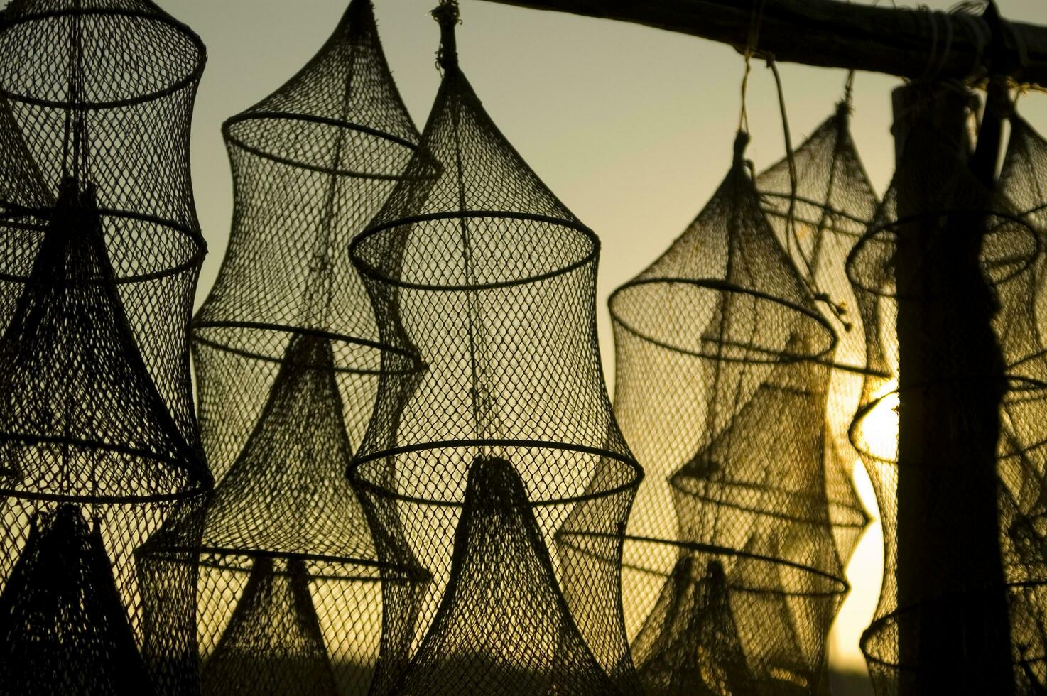 a group of fishing nets in the sun photo