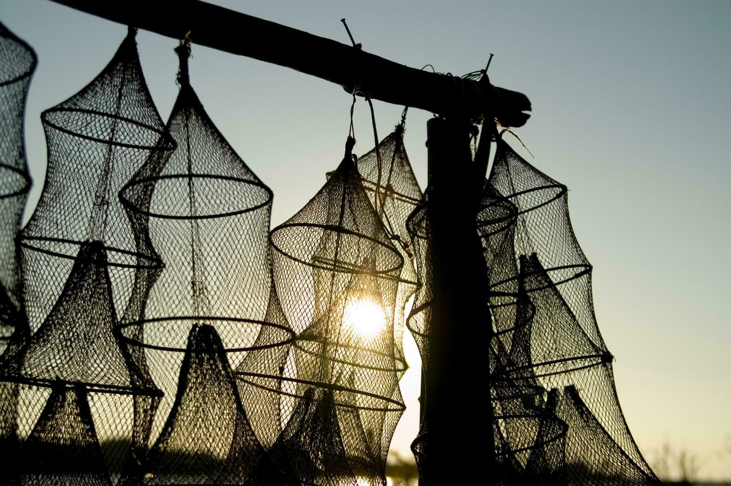 a group of fishing nets in the sun photo