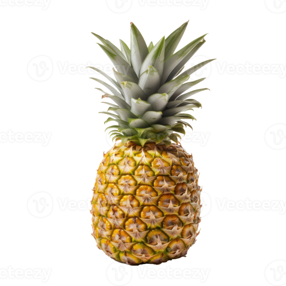 A single pineapple isolated png