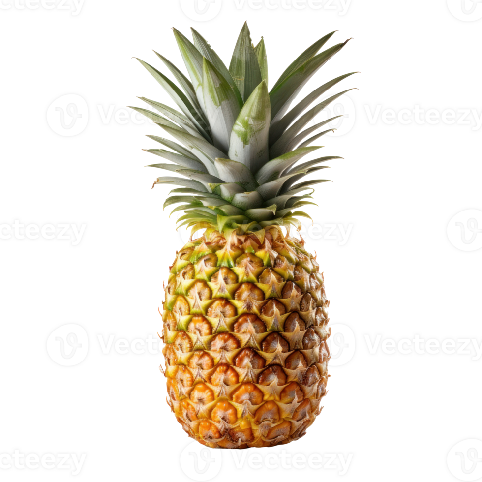 A single pineapple isolated png
