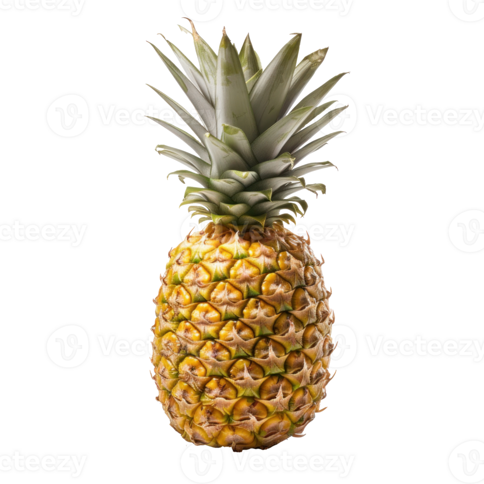 un' singolo ananas isolato png