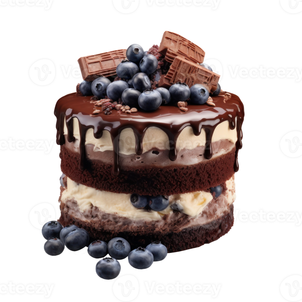 Chocolate cake with berries isolated png