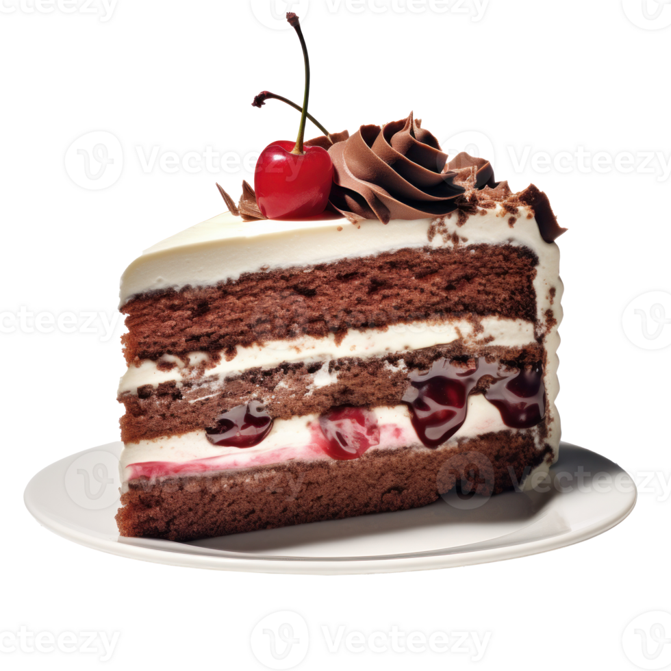Chacolate cake piece isolated png