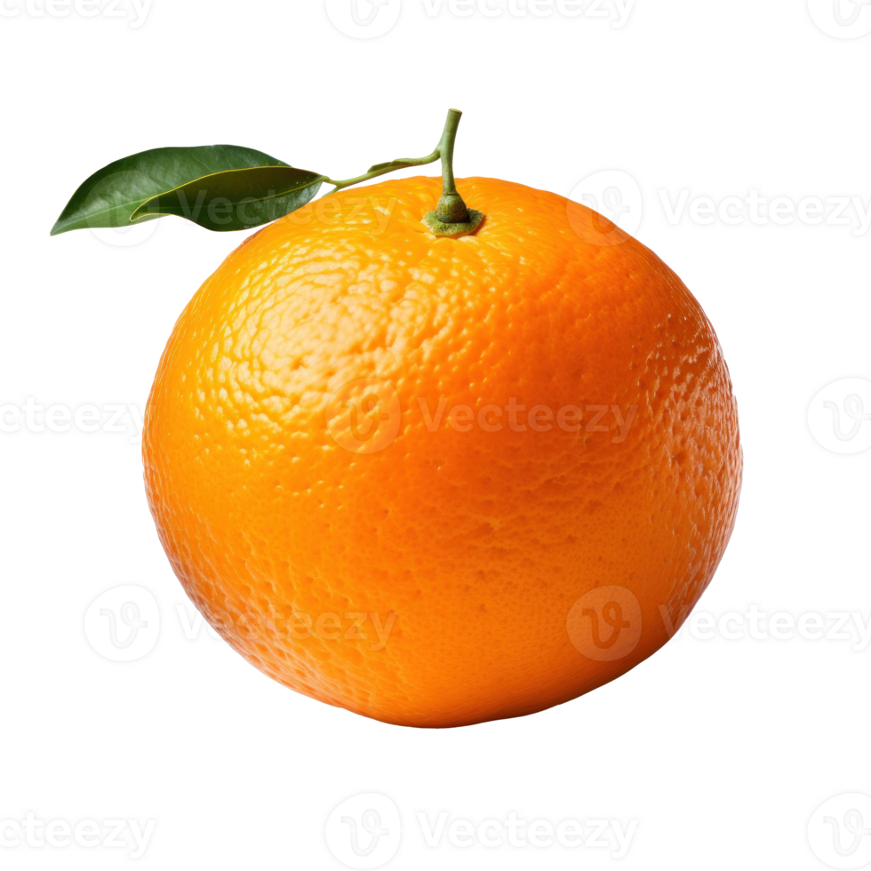 Single mandarine isolated png