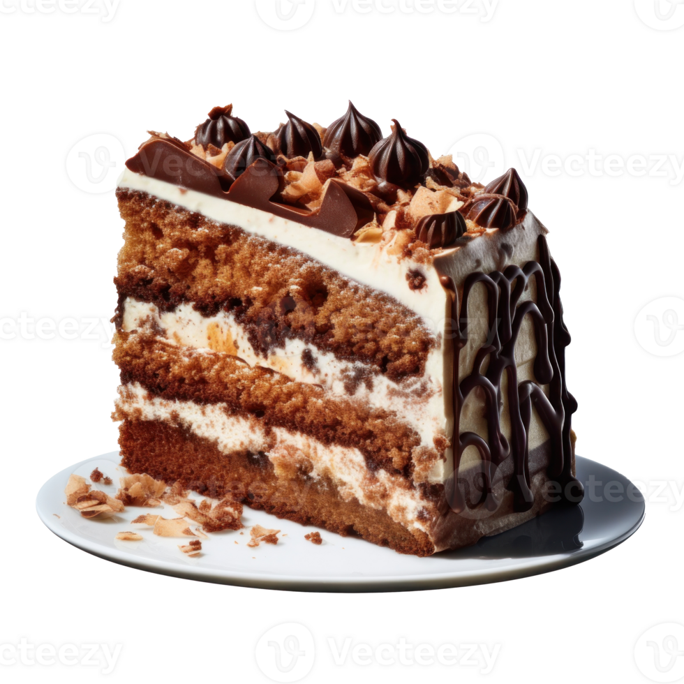 Chacolate cake piece isolated png