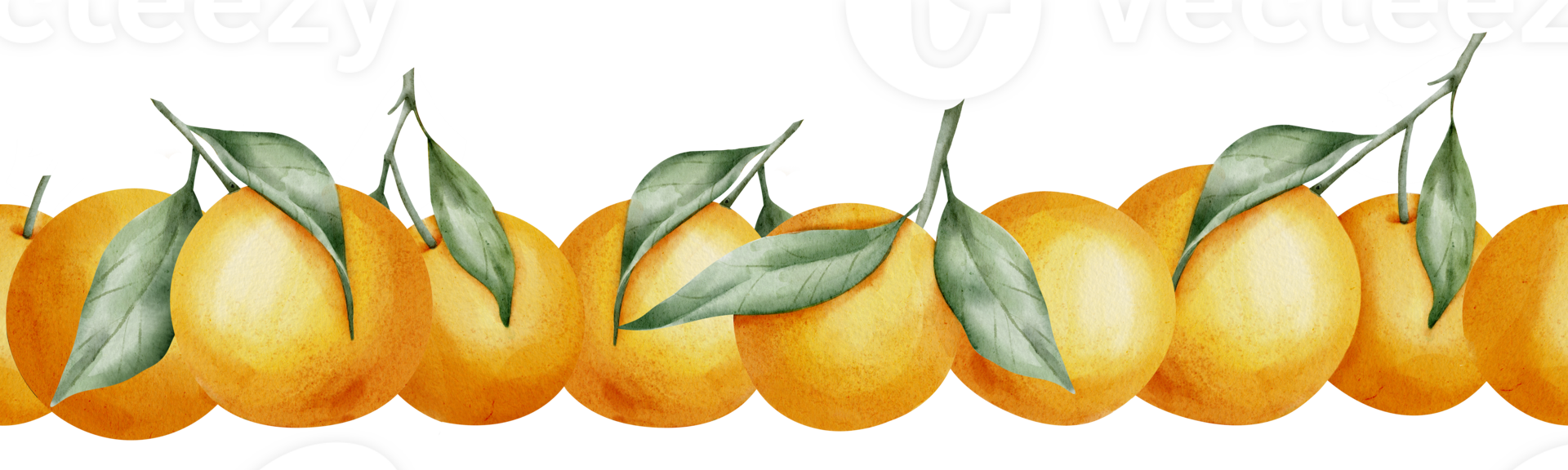 Orange seamless Border. Hand drawn watercolor illustration of citrus tangerine pattern on isolated transparent background for frame or banner. Tropical mandarin Fruit with green leaves for label. png
