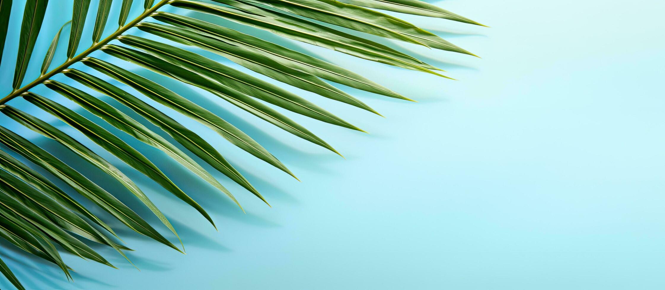 Palm leaf shadow on a light blue background. Simple summer tropical concept with room for text photo