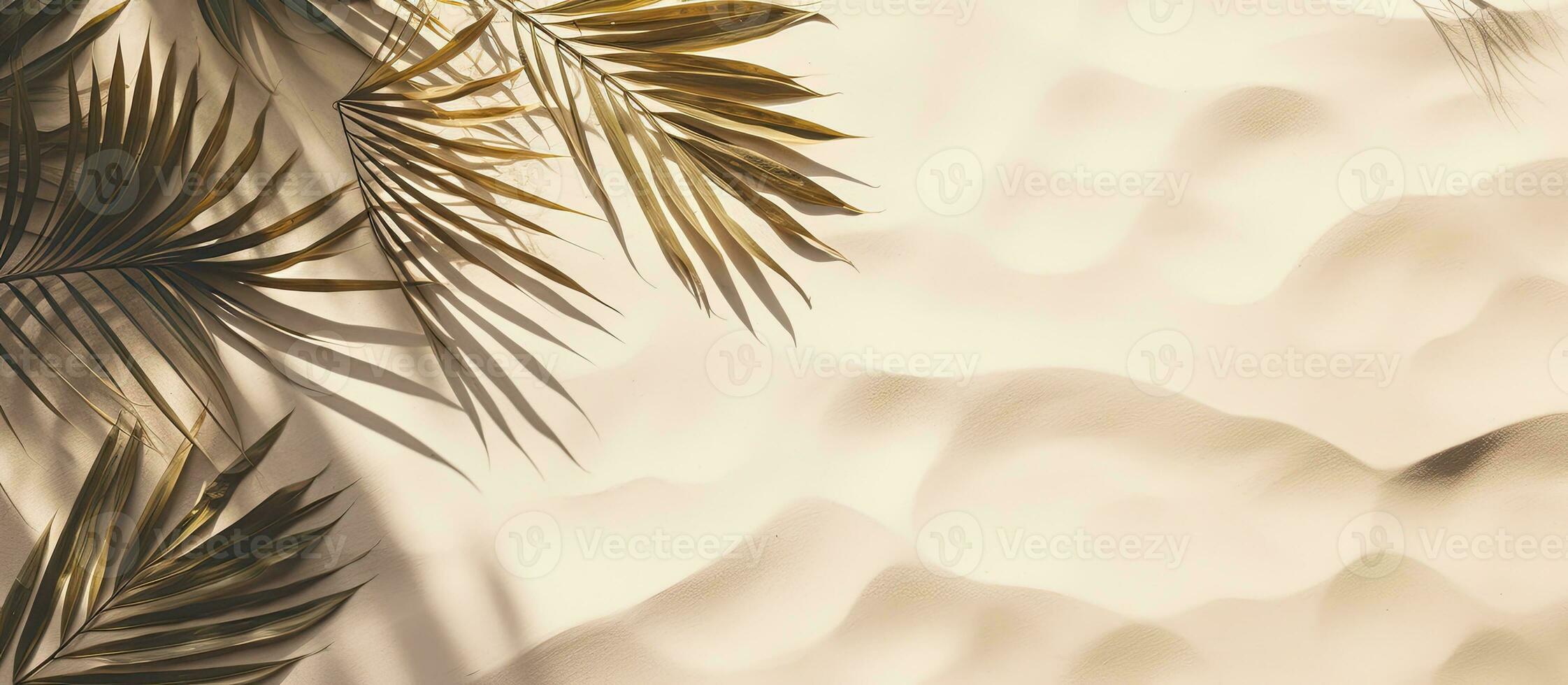 A top-down view of a banner made of palm leaf shadow on sand, with an empty space for text. photo