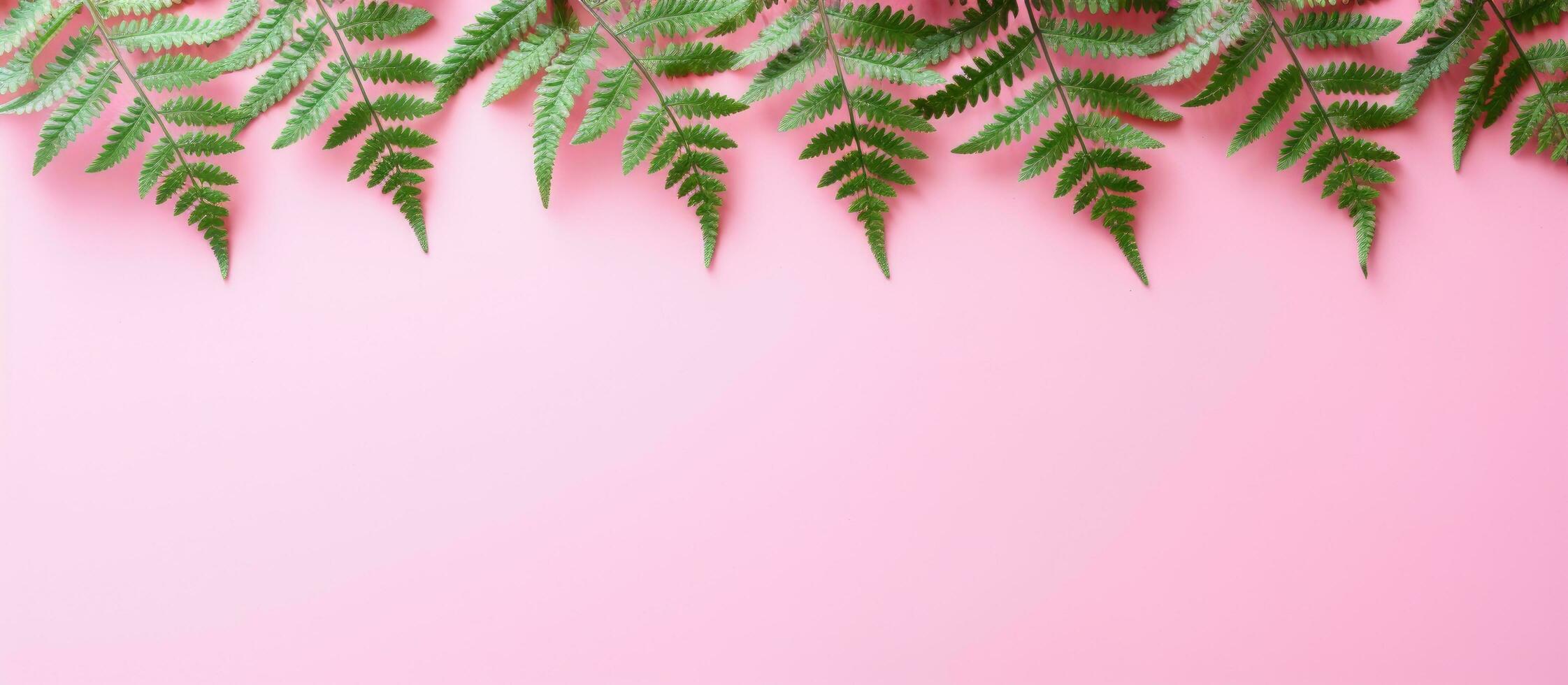 A pink background with crocheted green fern leaves and space for text. Suitable for hobbies photo