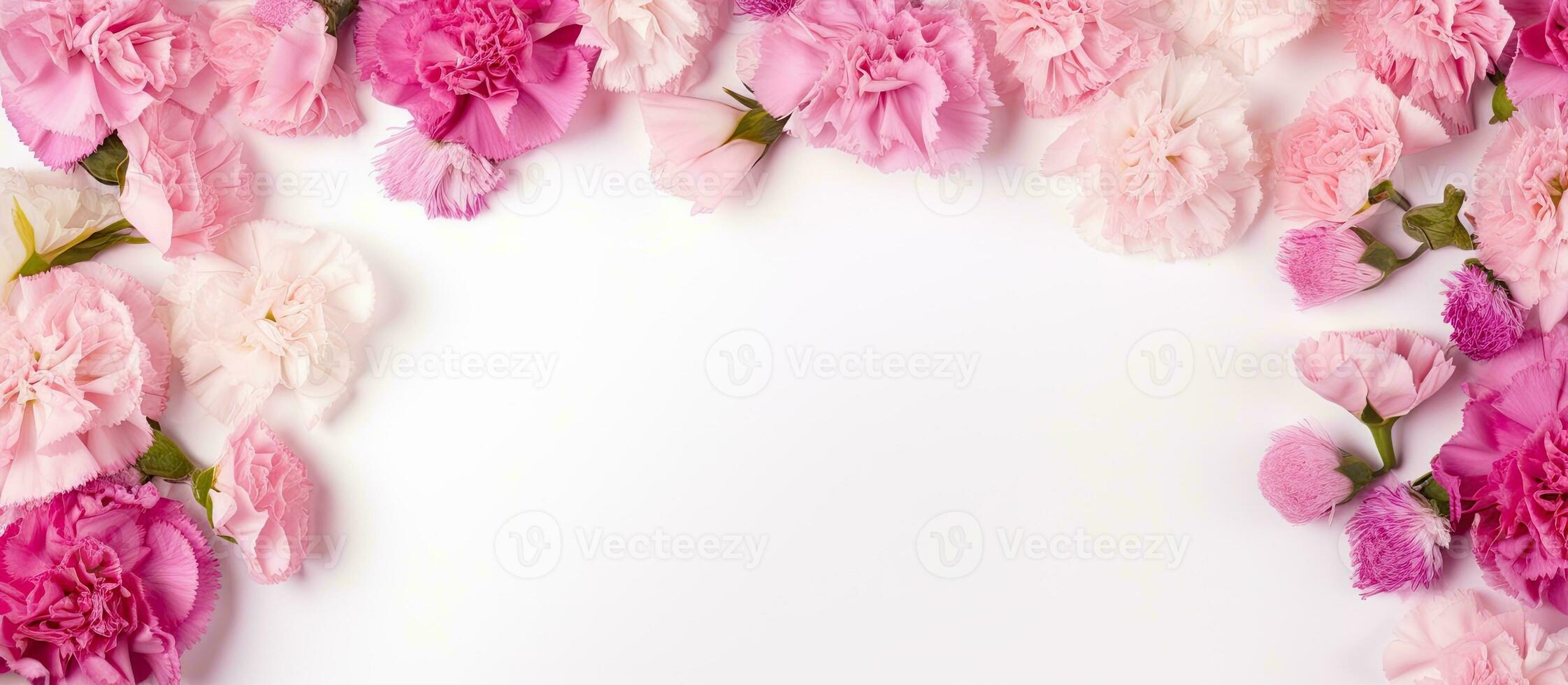 A pink carnation flower frame on a white background with a blank space in the middle. It is photo