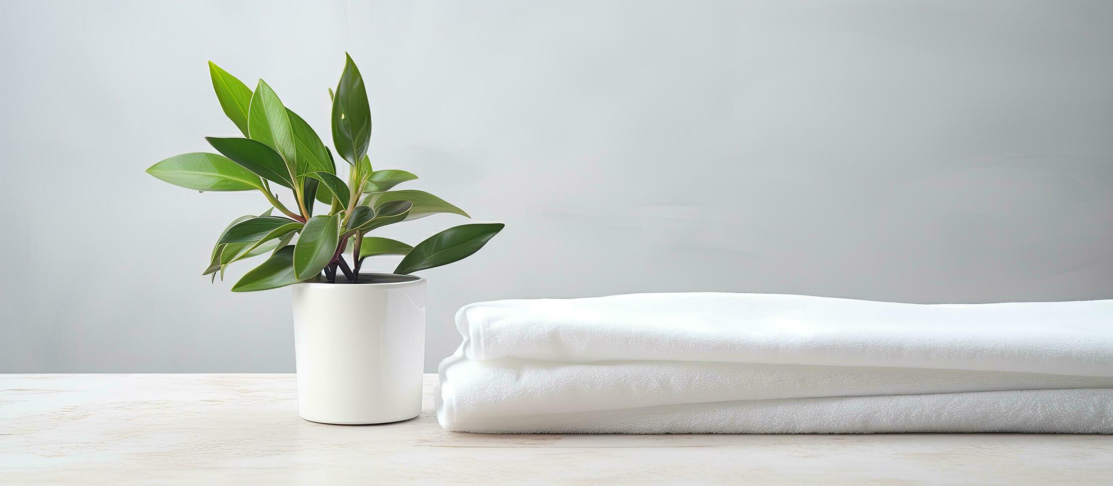 white table with a bright light background, and it has clean towels and a houseplant on it. photo