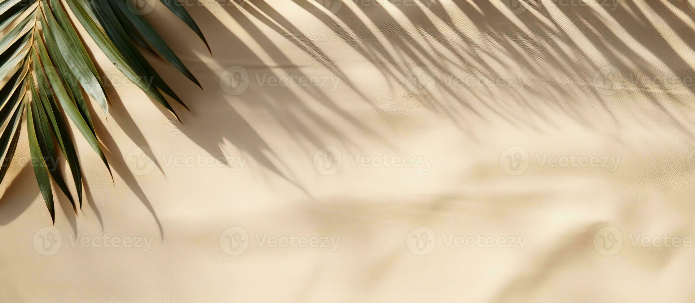 A top-down view of a banner made of palm leaf shadow on sand, with an empty space for text. photo