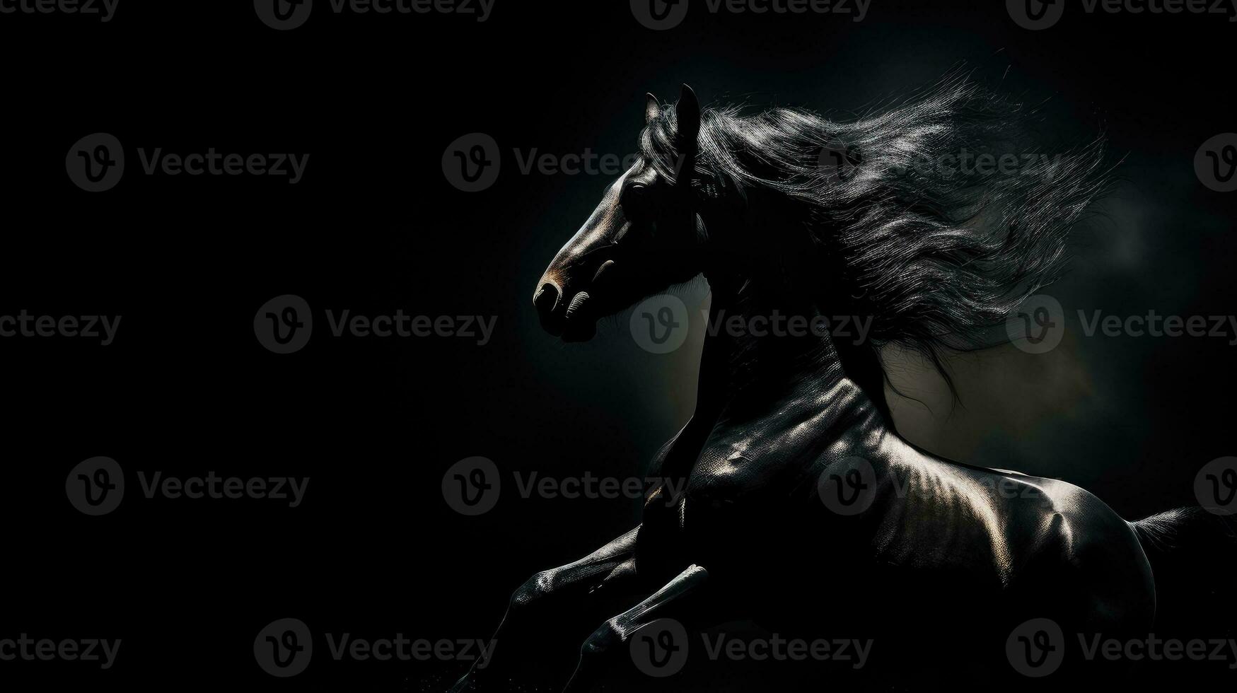 Black background with isolated horse silhouette photo