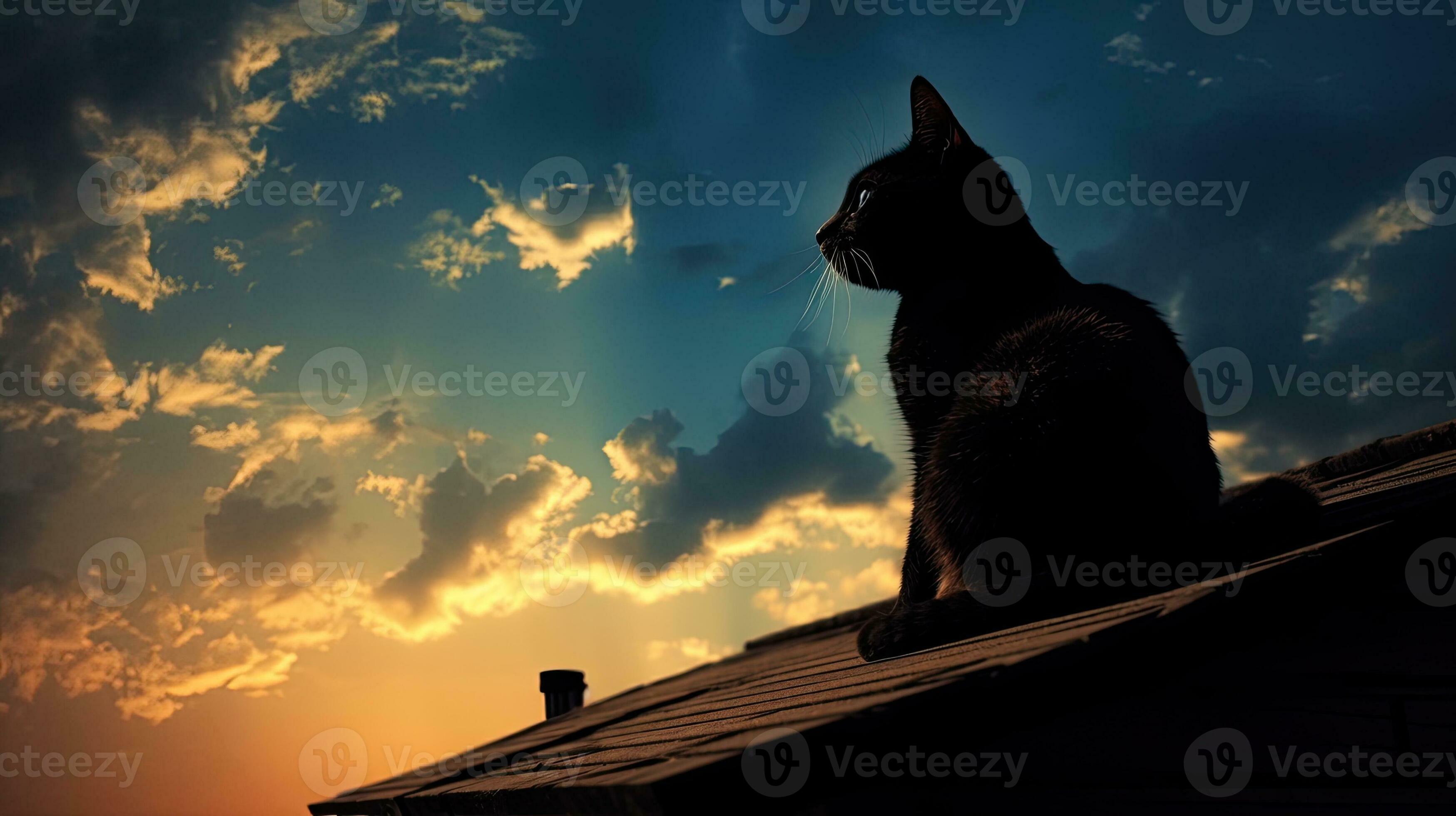 Design element Rooftop cat silhouette 27101989 Stock Photo at Vecteezy