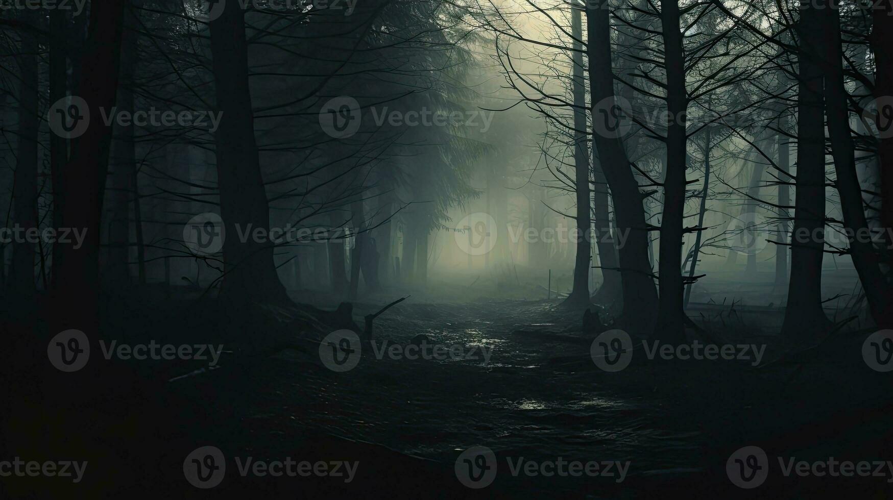 Spooky misty forest on a cold foggy morning photo