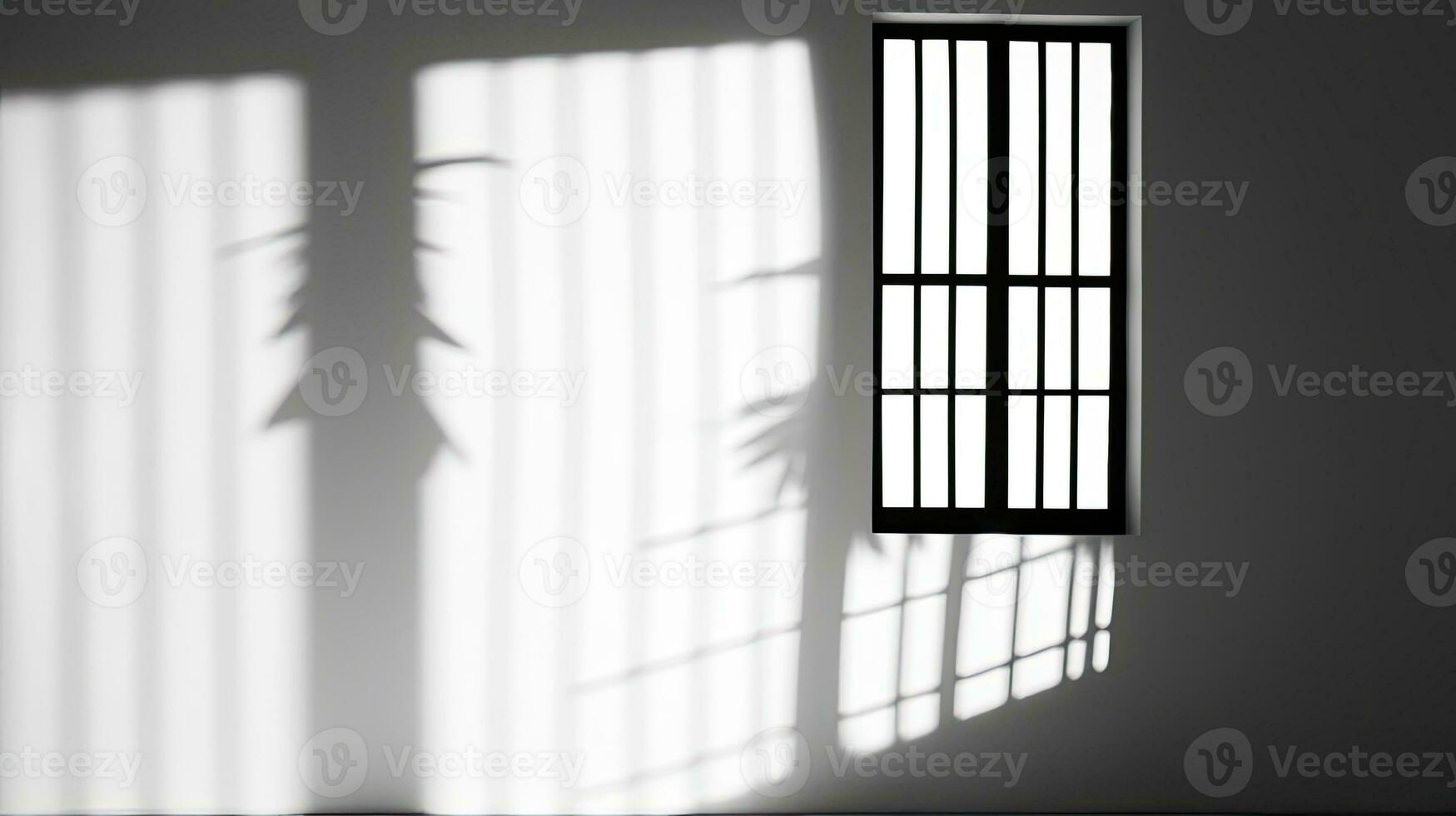 Shadow of window falling on white wall backdrop photo