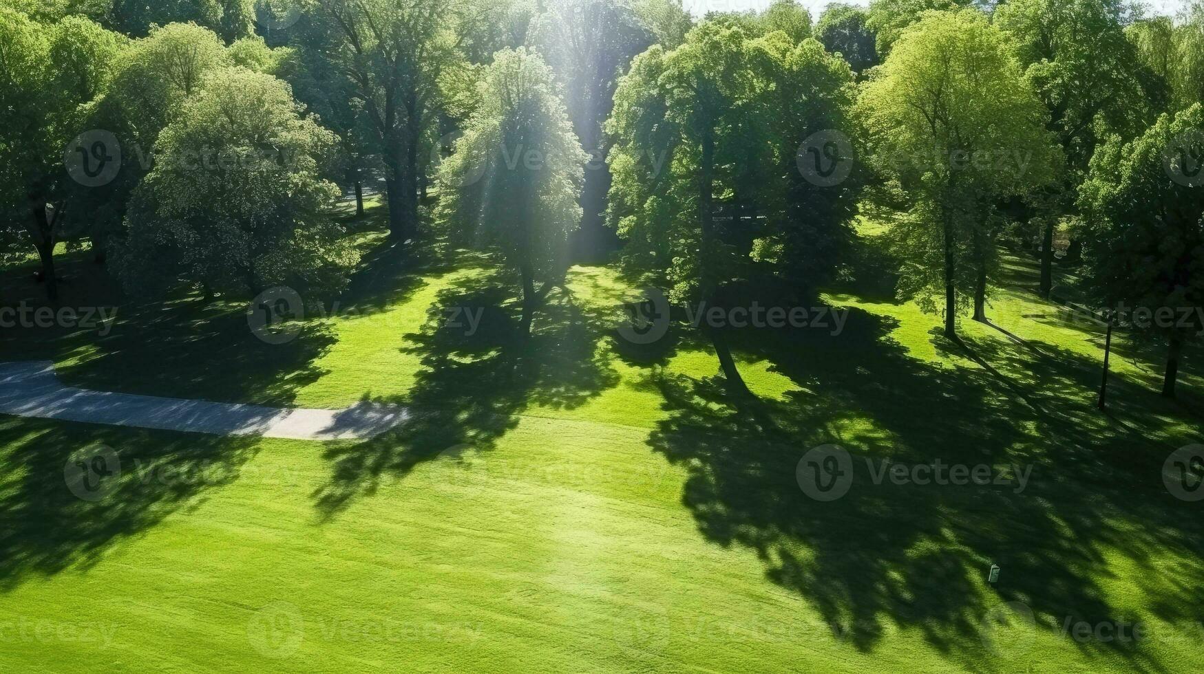 A sunny day in a city park with trees casting shade on a green lawn captured from above photo