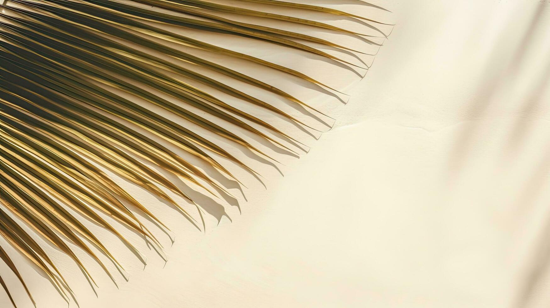 Top view of a palm leaf shadow on sandy backdrop with space for text photo