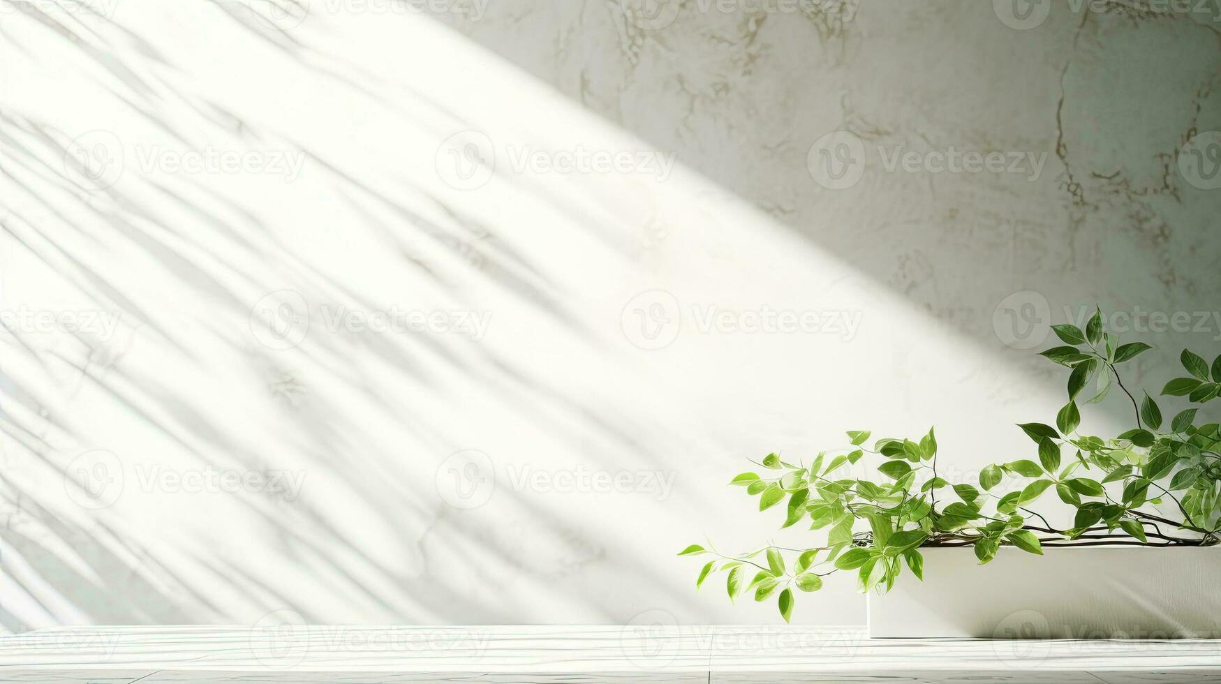 Sunlit branch with green leaves casting shadow on white marble tile wall wood table copy space photo