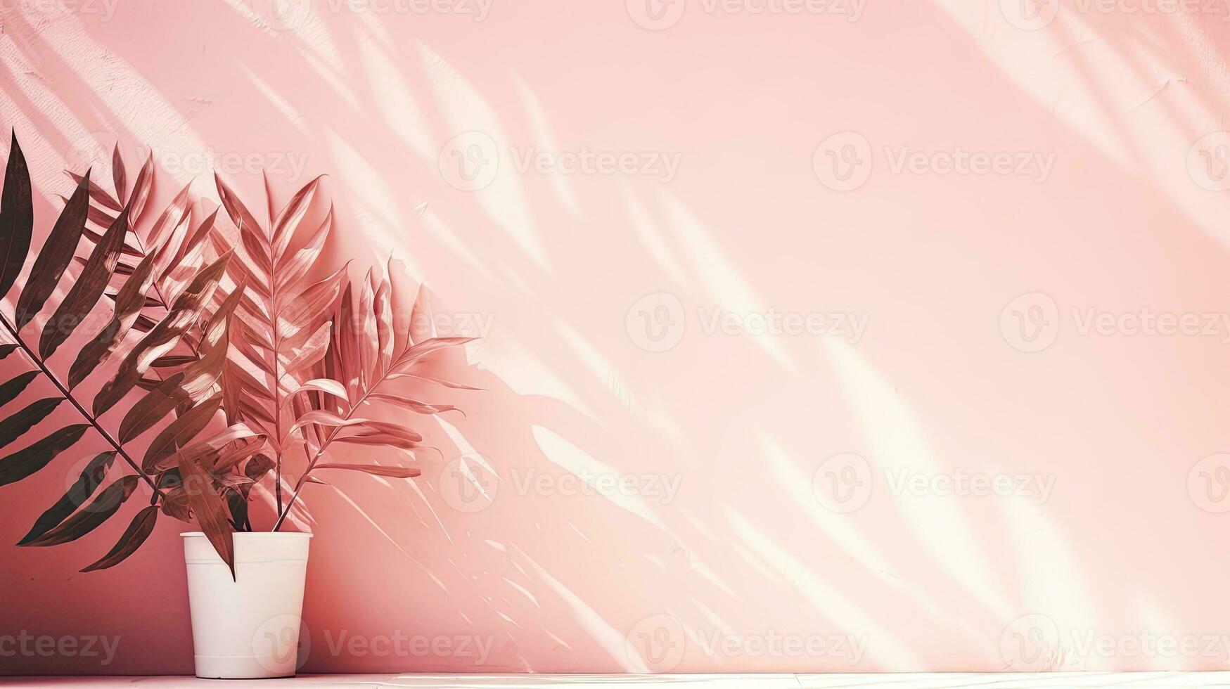 Sunlight casts shadow and light on a white wall with pink background Tropical leaves create a shaded effect photo