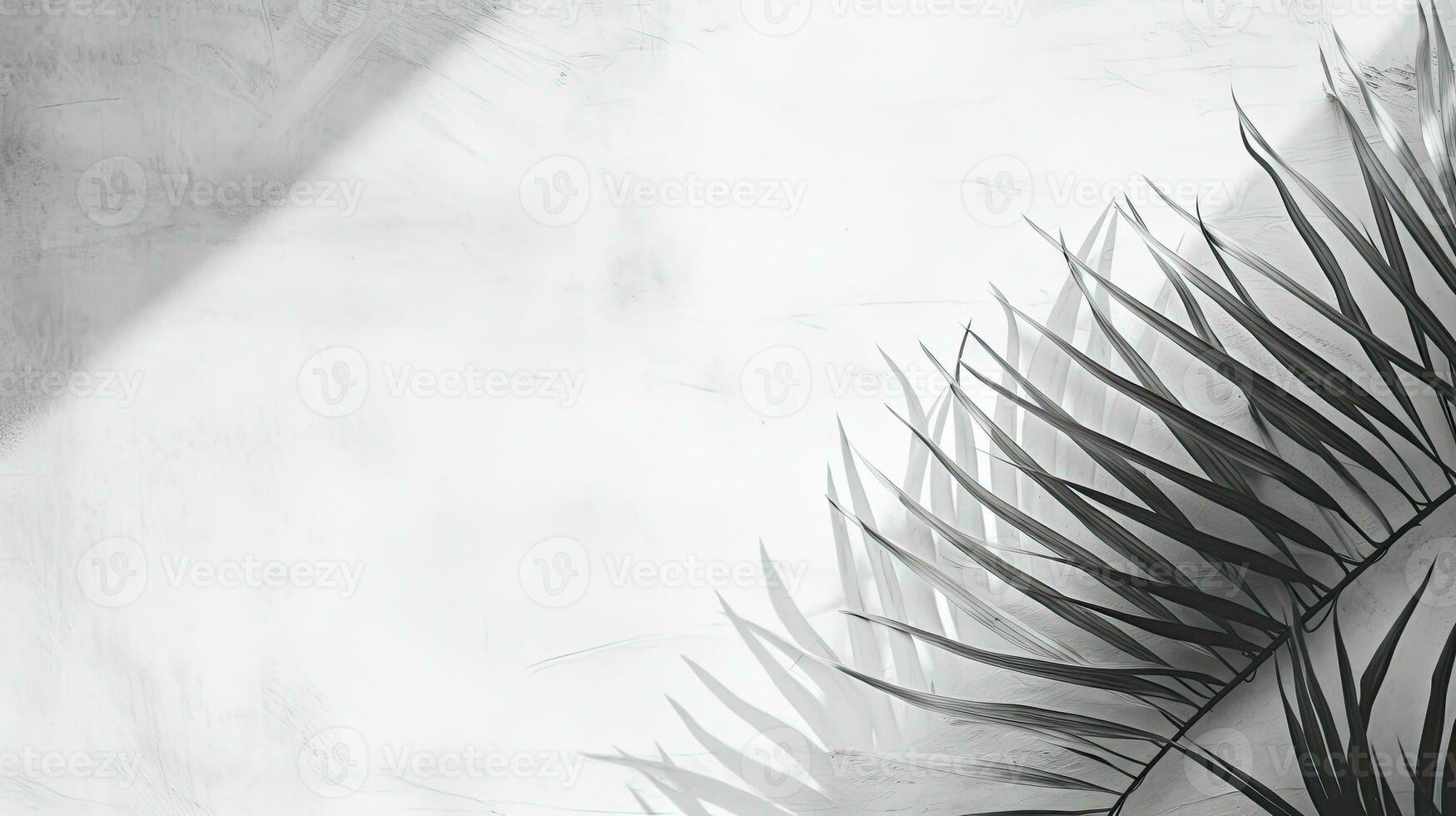 Silhouette of tropical leaf on white concrete background photo