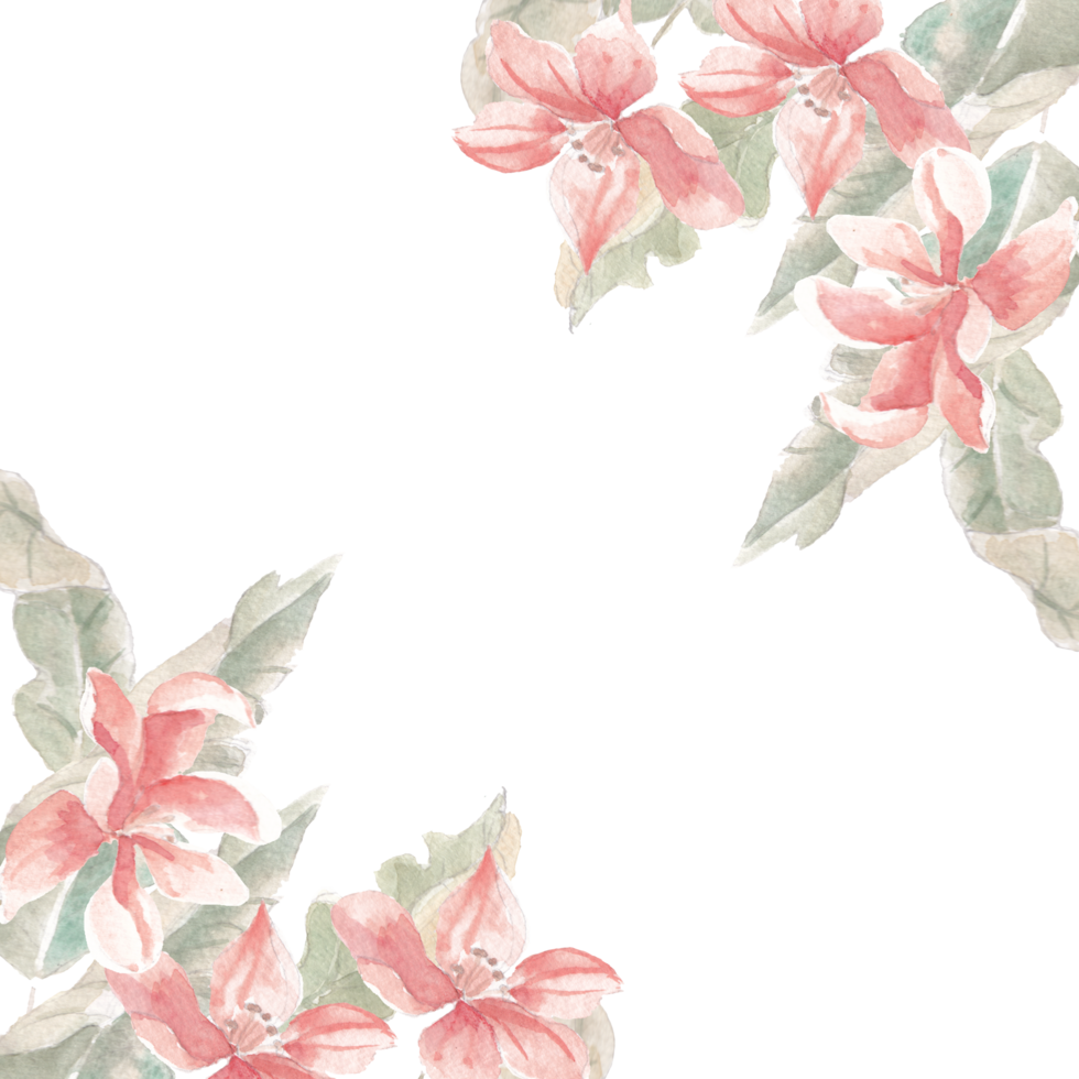 Tropical Leaves and Flower Watercolor Border png