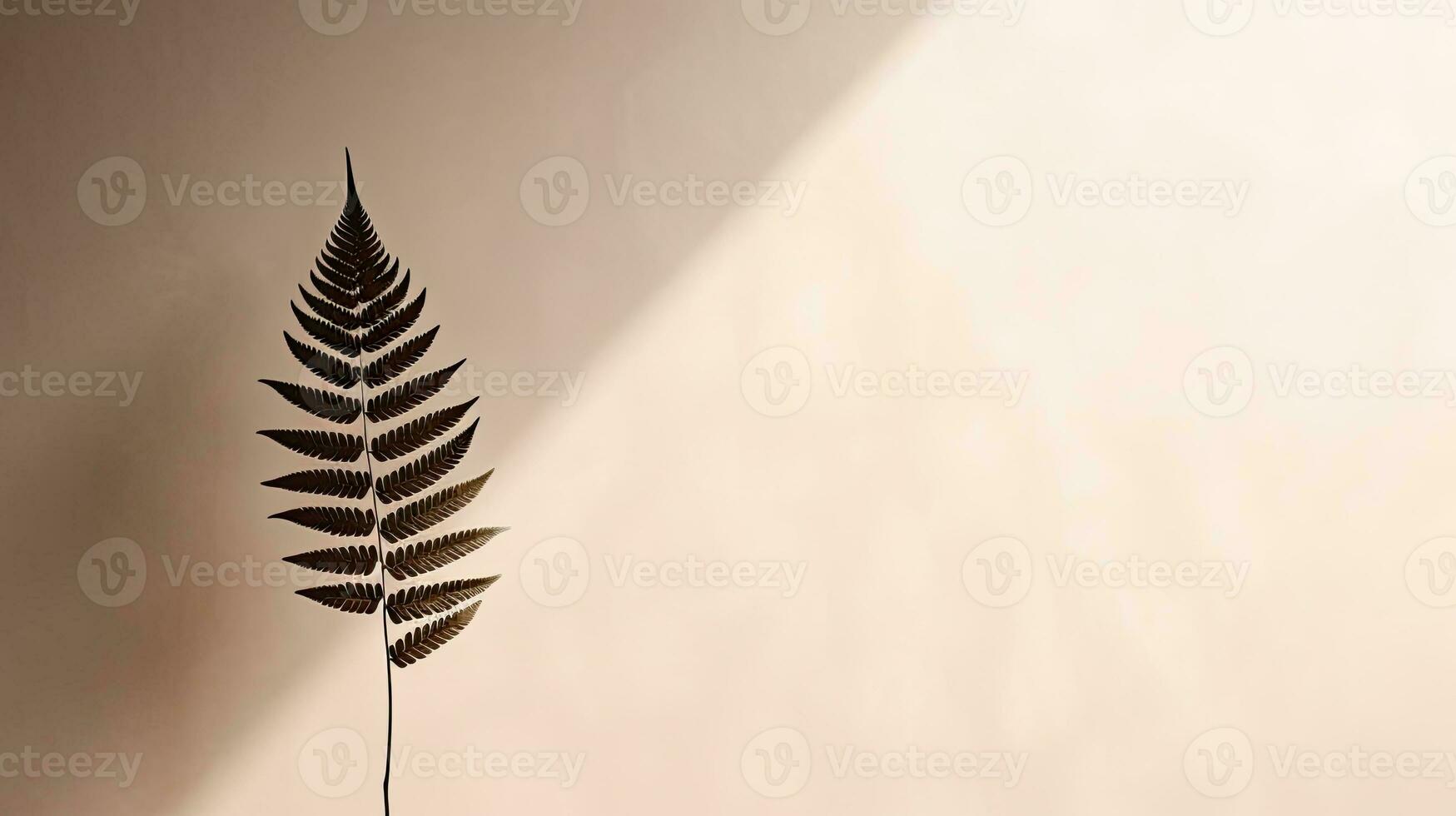 helecho hoja s sombra en un pared natural fondo espacio para texto foto