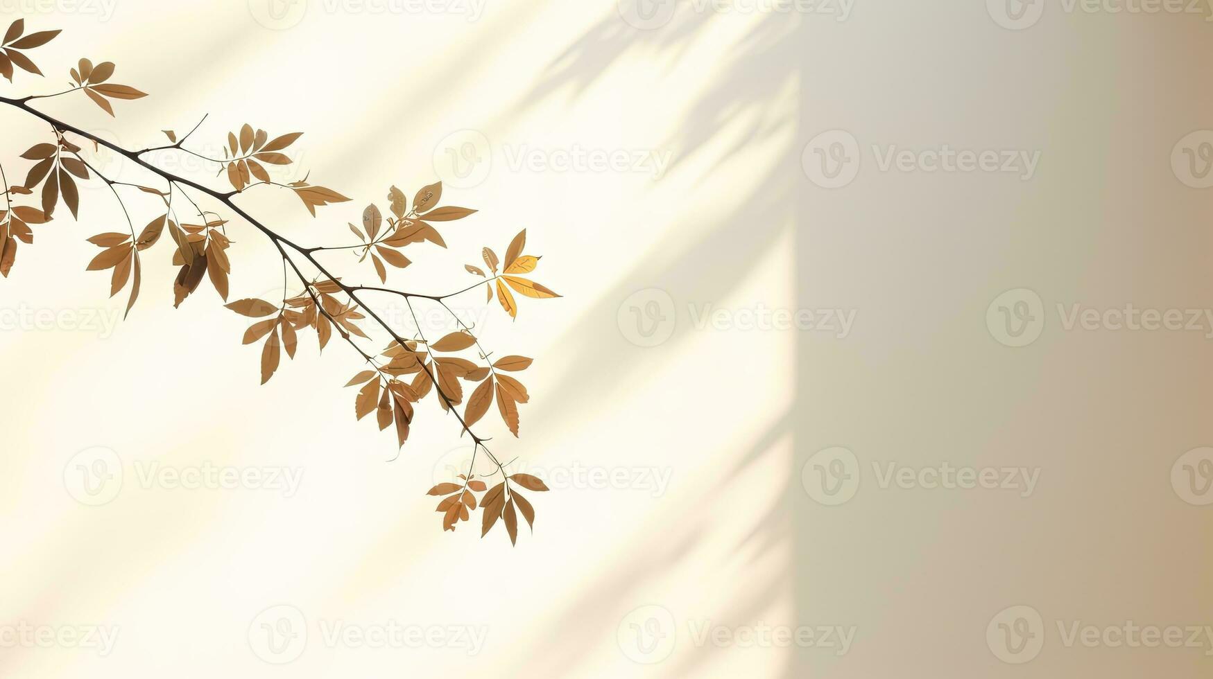 Shadow of leaves on white background with copy space Blurry leaf shadow in morning sunlight photo