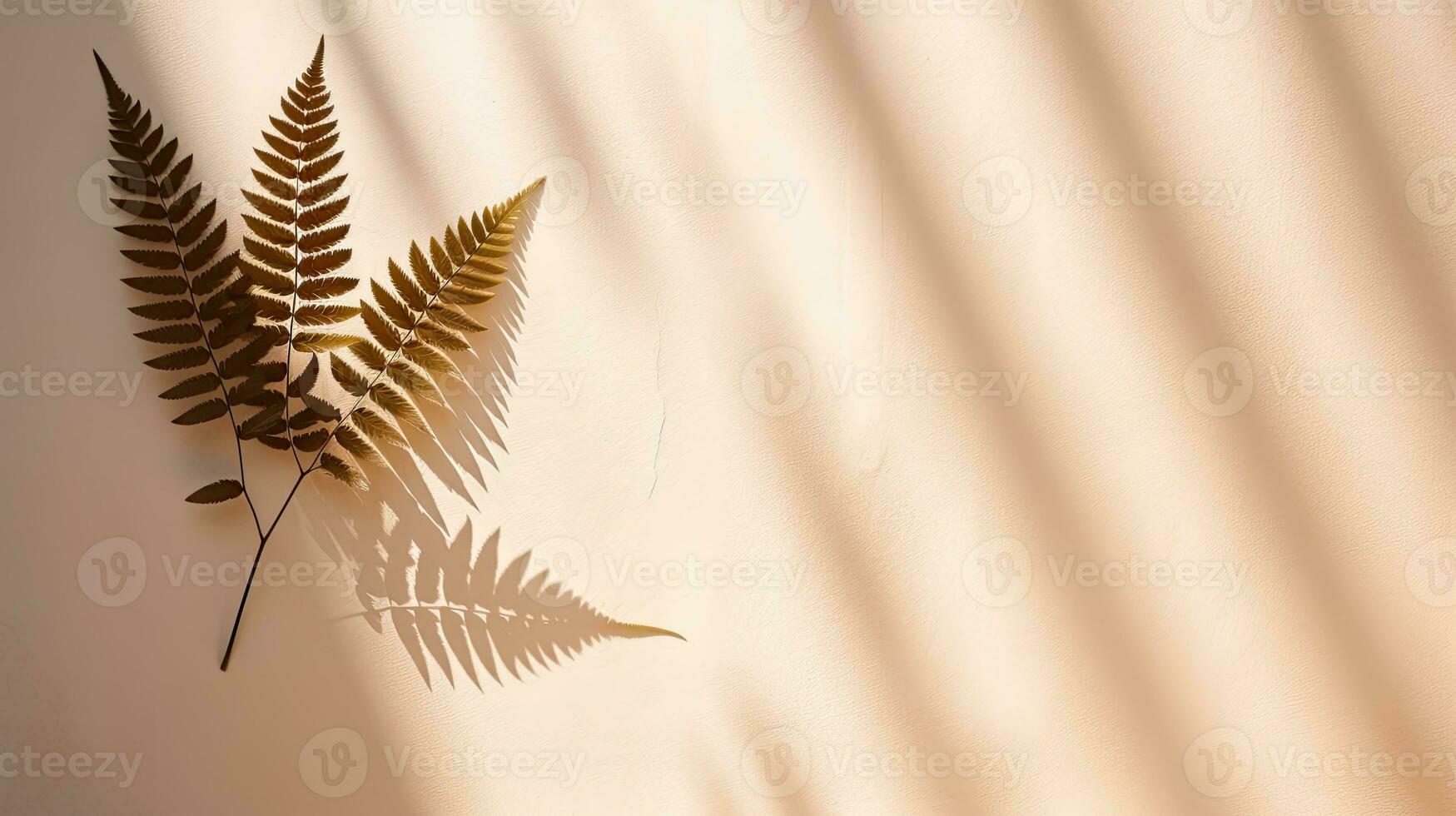 Fern leaf s shadow on a wall Natural backdrop space for text photo