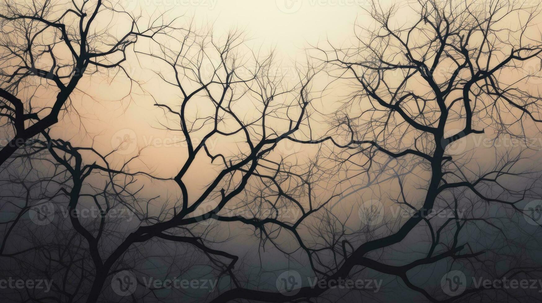 Tree branches silhouette as background photo