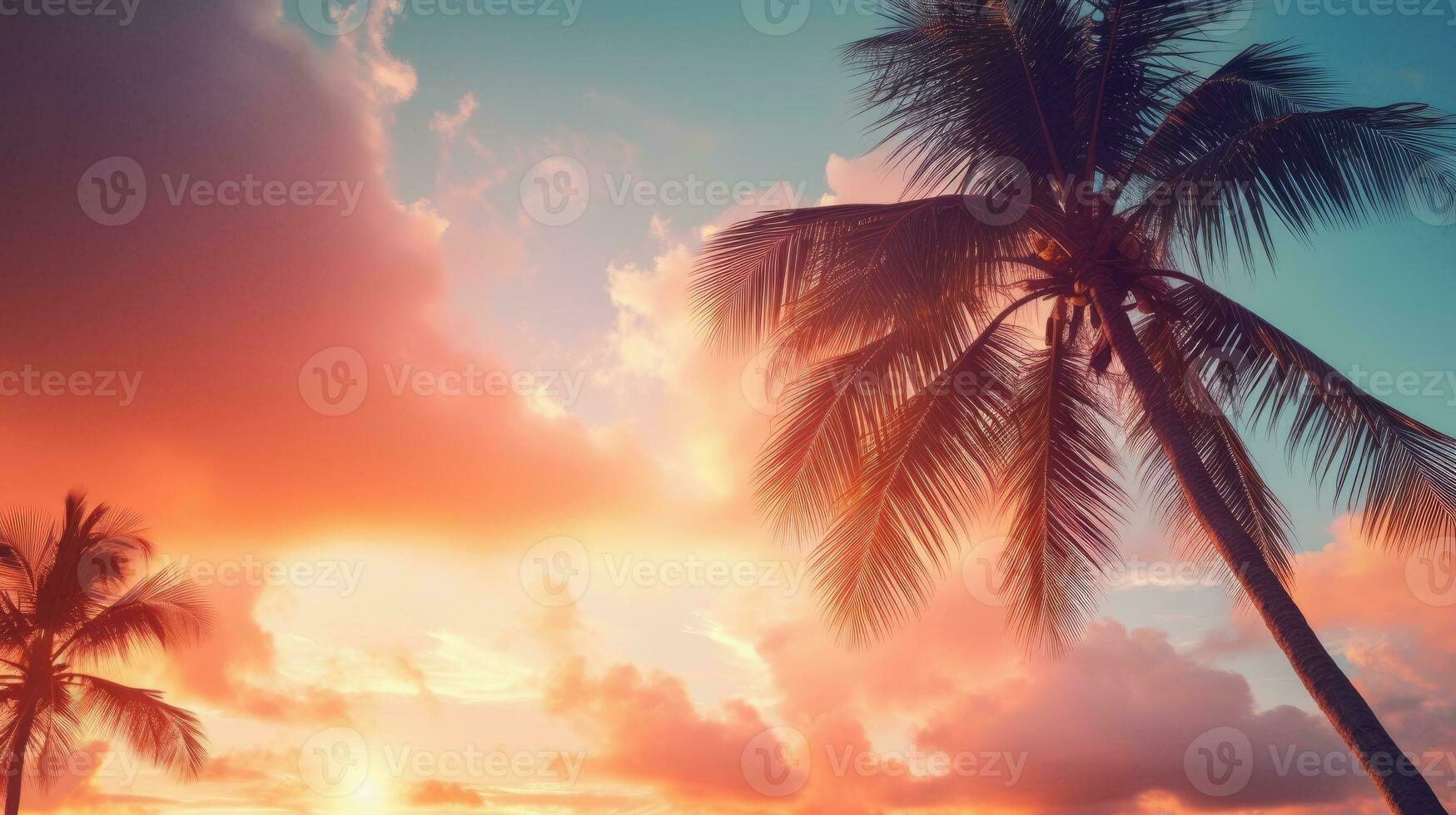 Silhouette palm tree against sunset sky with abstract background Travel adventure concept Filtered pastel tones photo