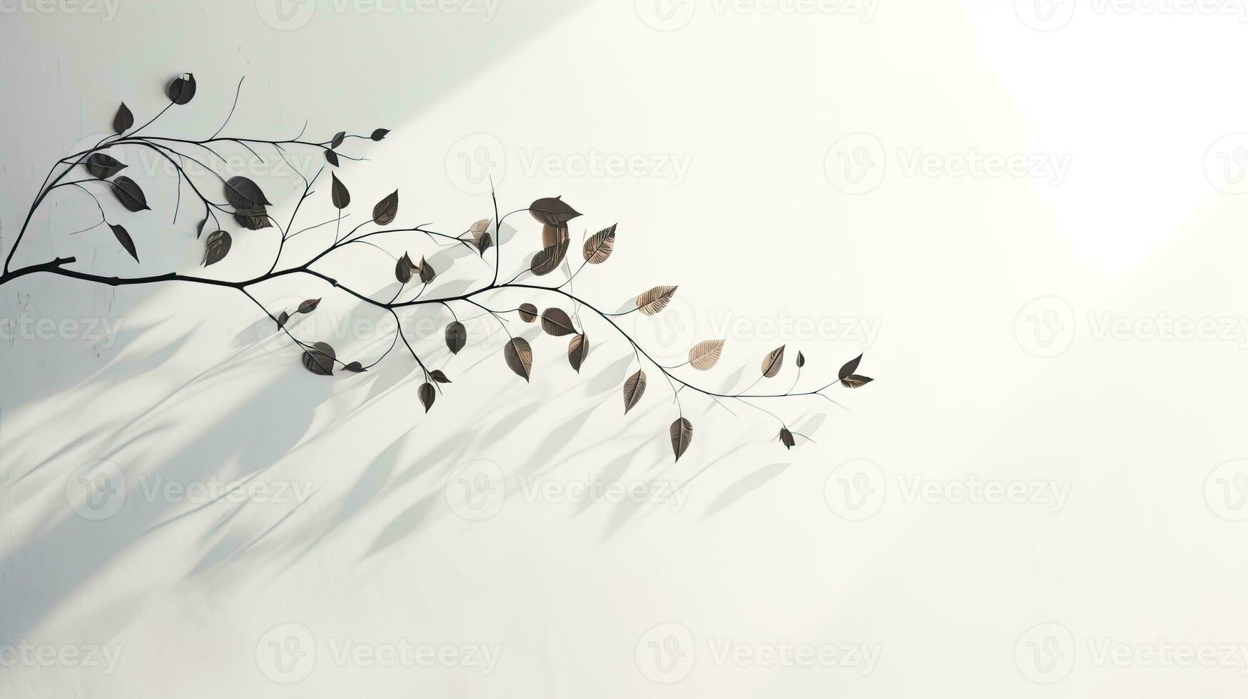 Shadow of leaves on white background with copy space Blurry leaf shadow in morning sunlight photo