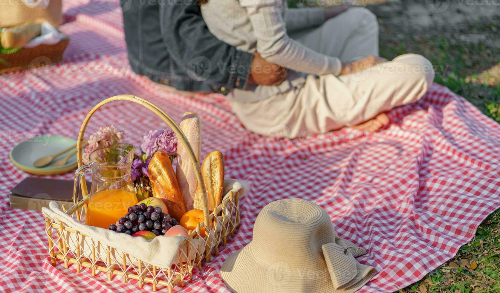 Picnic Lunch Meal Outdoors Park with food picnic basket. enjoying picnic time in park nature outdoor photo