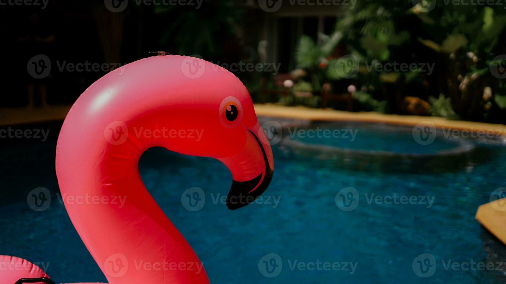 Summer vacation fun funny Pink  Flamingo  float  in a swimming pool trendy summer concept photo