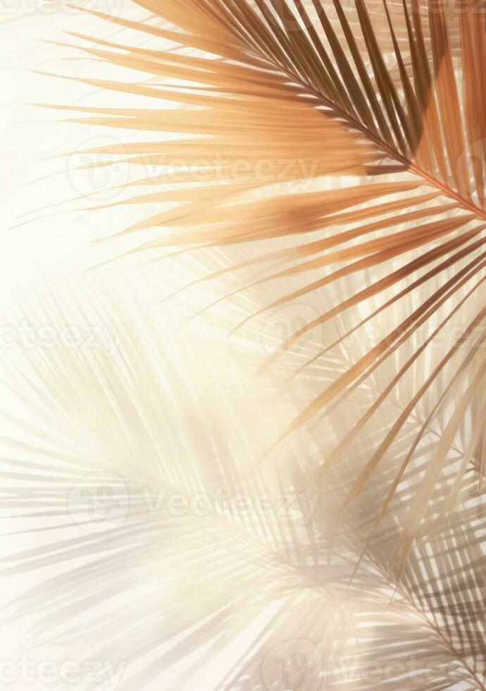 tropical palma hojas antecedentes foto