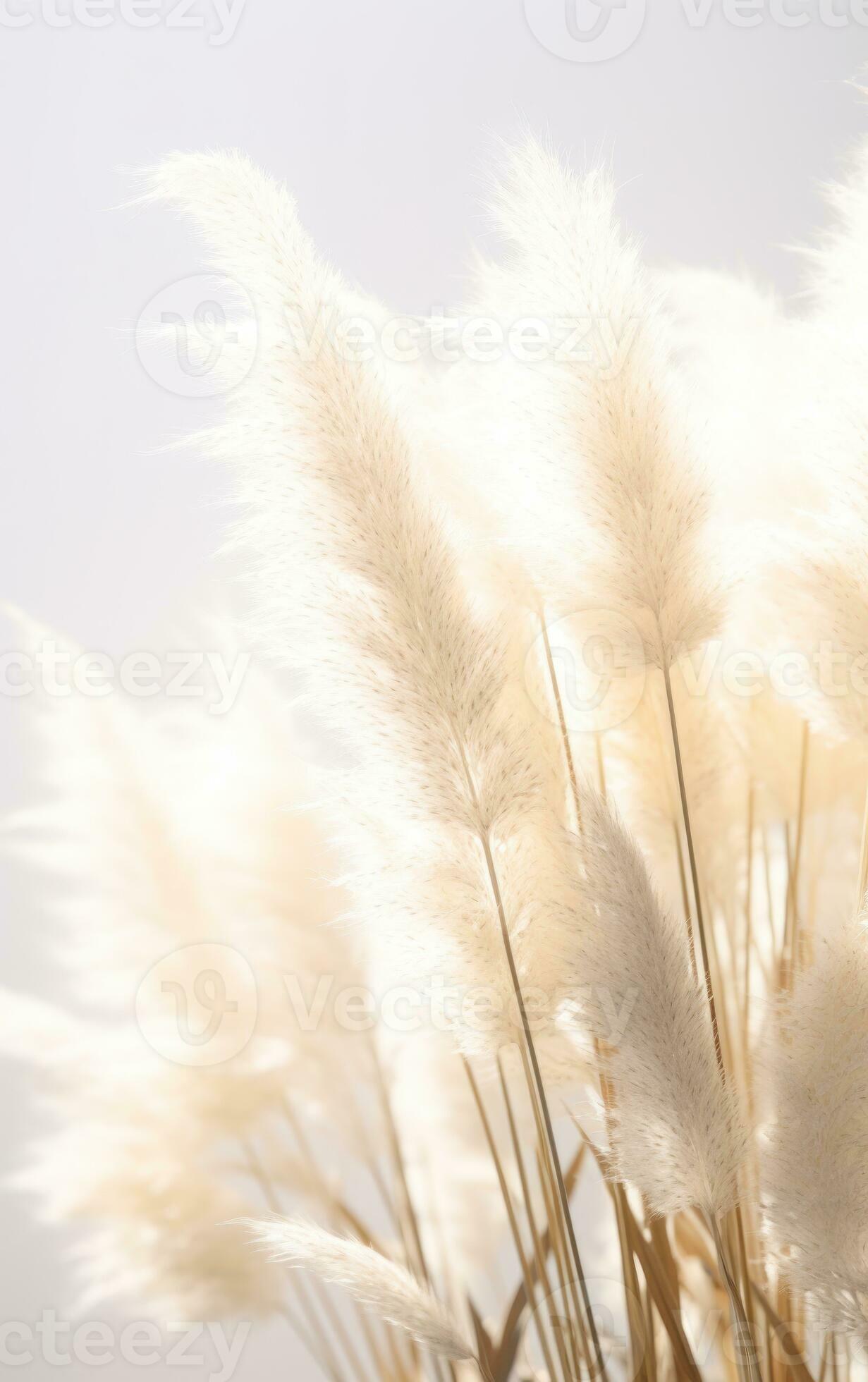 Abstract natural beige background 27109720 Stock Photo at Vecteezy