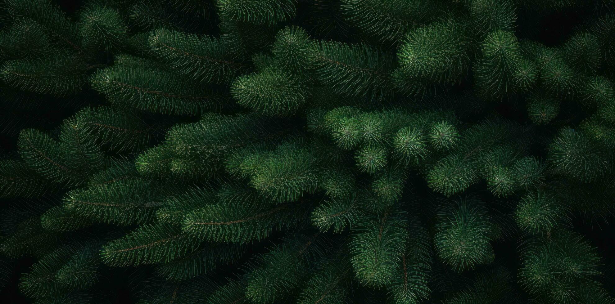 Green fir background photo