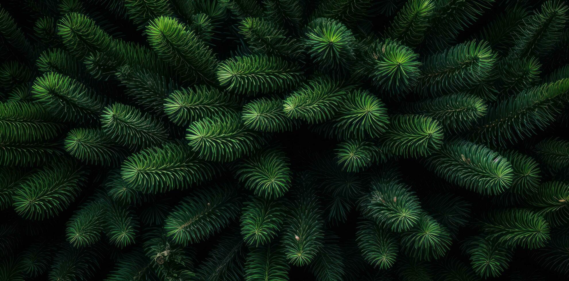 Green fir background photo