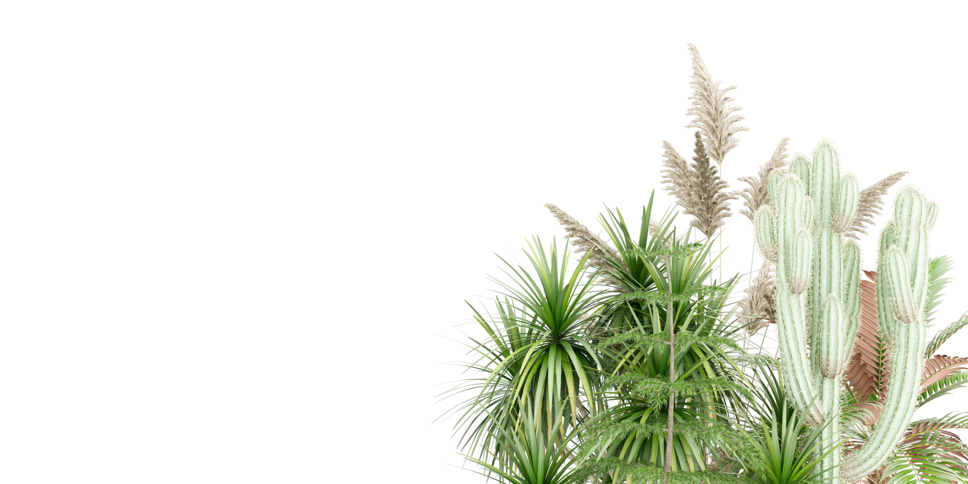 isolated natural palm leaves, summer tree, tropical leave on transparent background png
