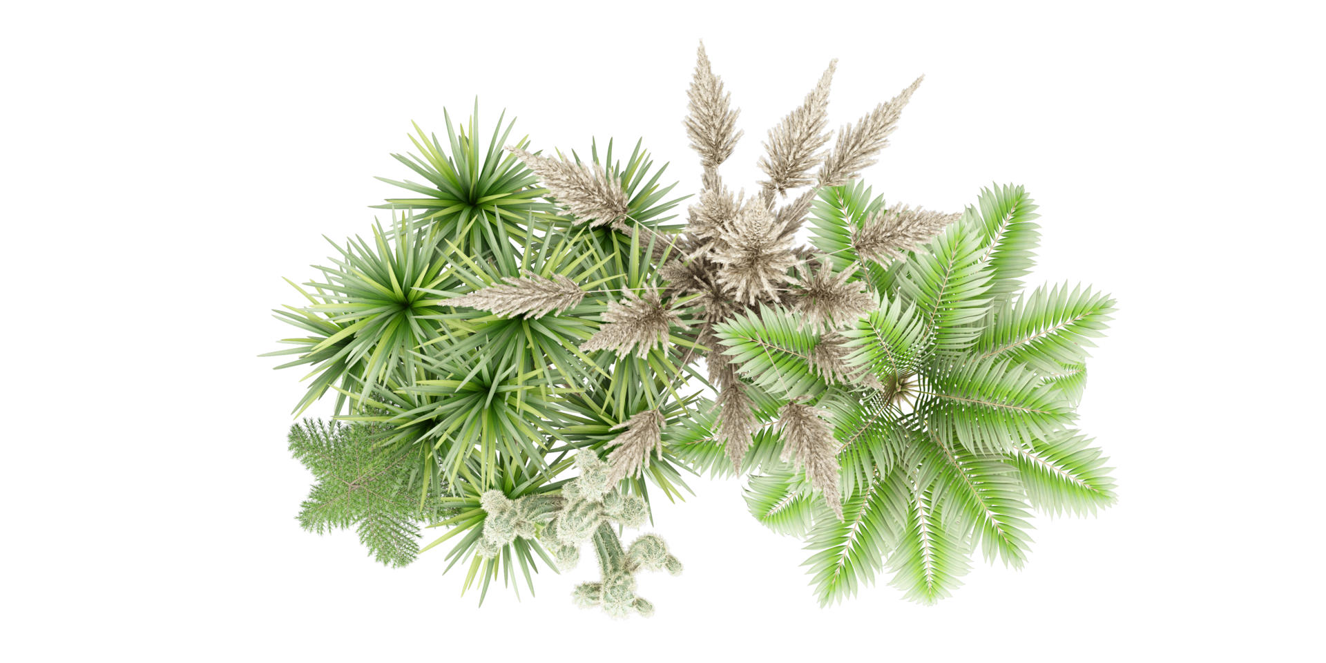 isolated natural palm leaves, summer tree, tropical leave on transparent background png