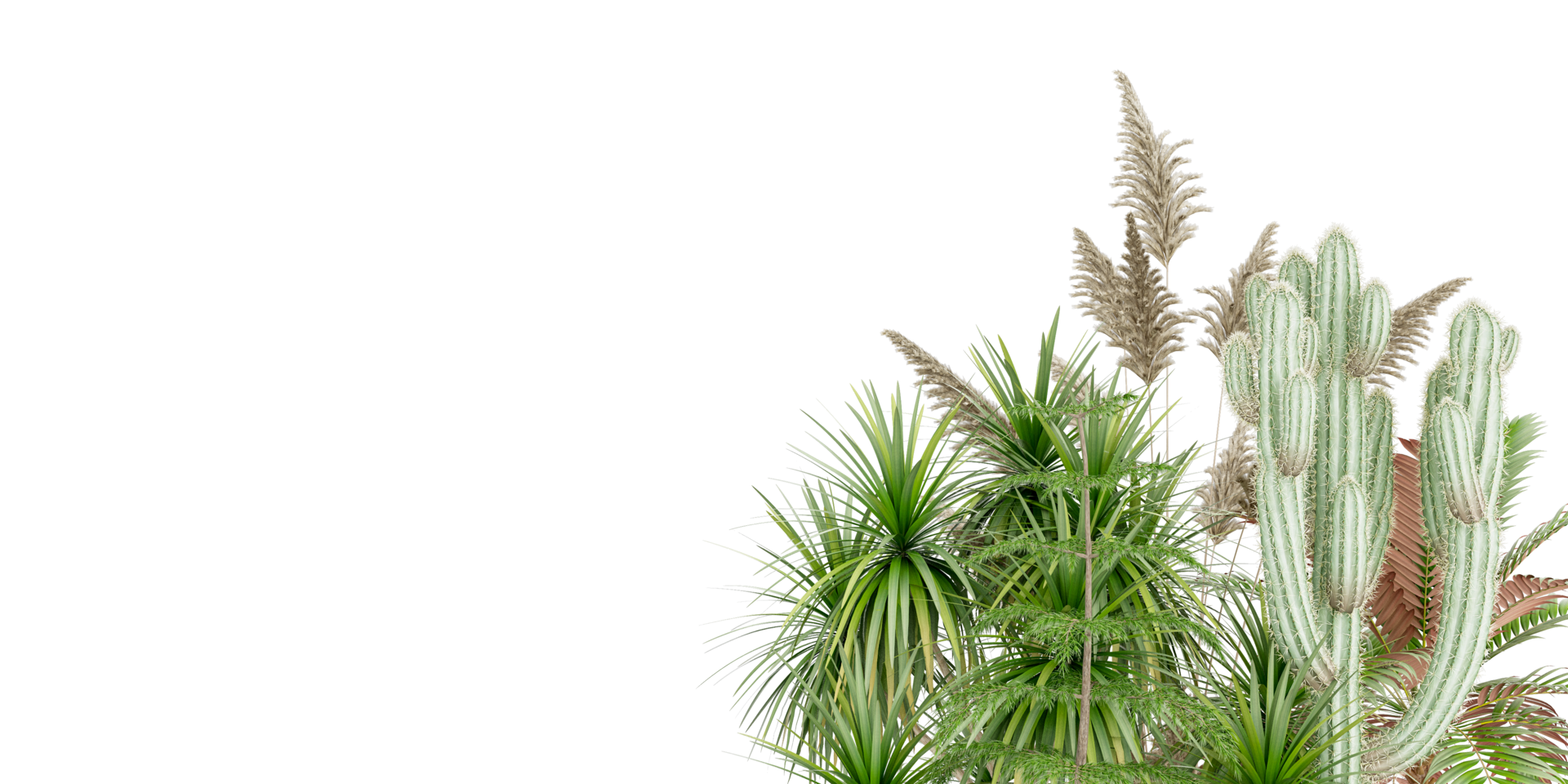 isolated natural palm leaves, summer tree, tropical leave on transparent background png