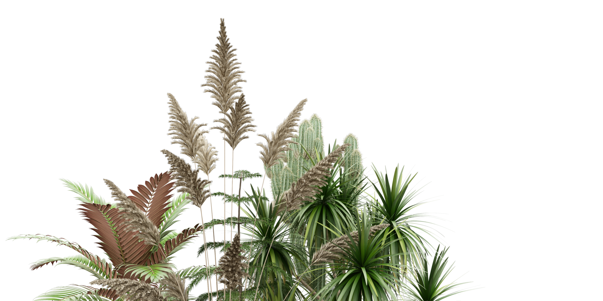 isolated natural palm leaves, summer tree, tropical leave on transparent background png