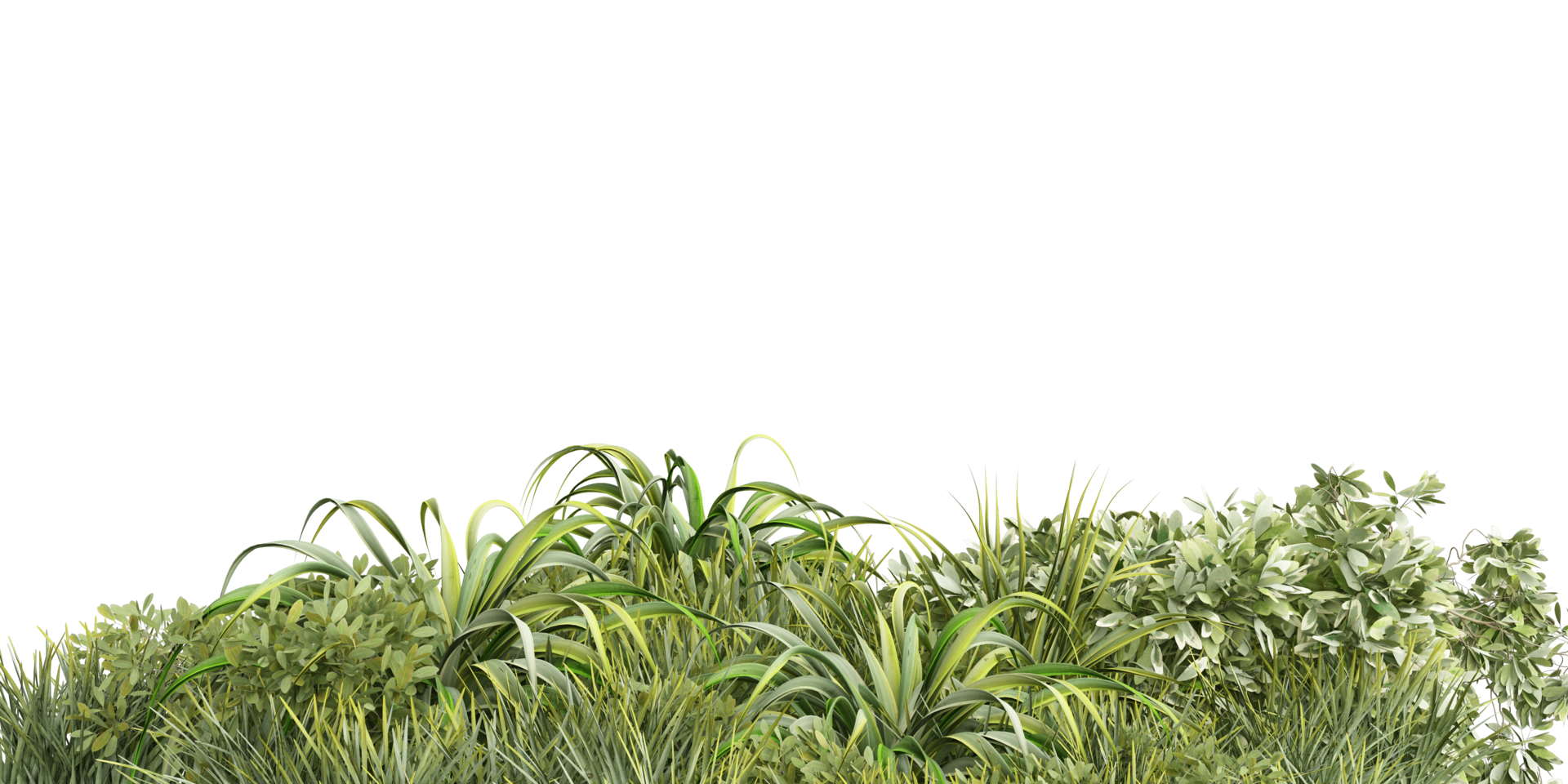isoliert Busch Anlage, Gras und tropisch Blätter auf transparent Hintergrund png