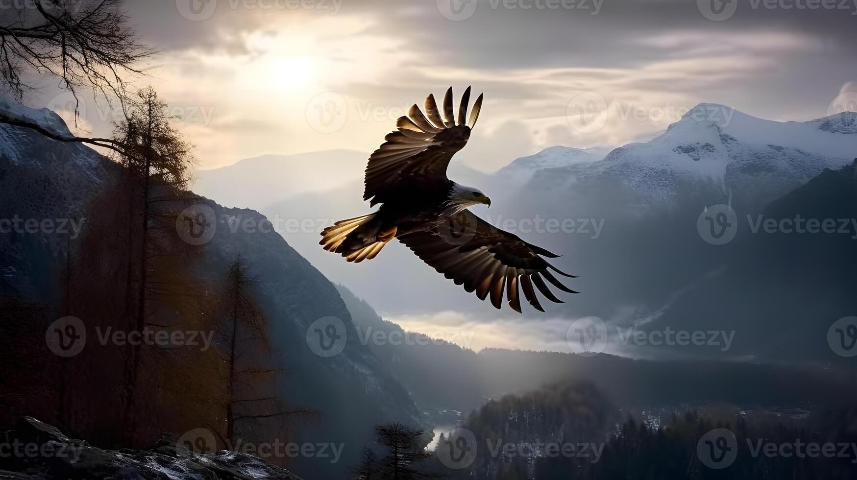 calvo águila Haliaeetus leucocéfalo blanco cabeza volador en el aire con montaña y tierras altas antecedentes bosque noche puesta de sol. ai generado foto