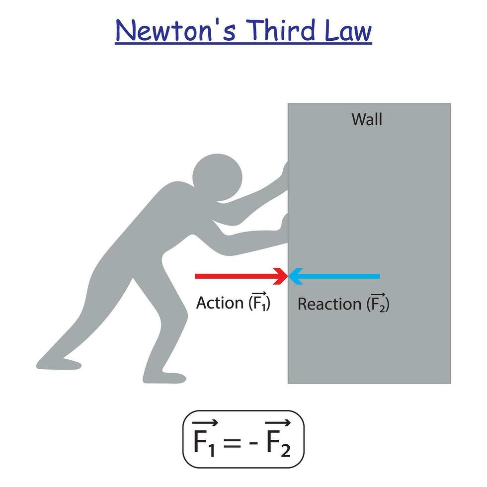 Newton's Third Law experiment. Statement, Examples, and Equation. Study content for physic students. Vector illustration.