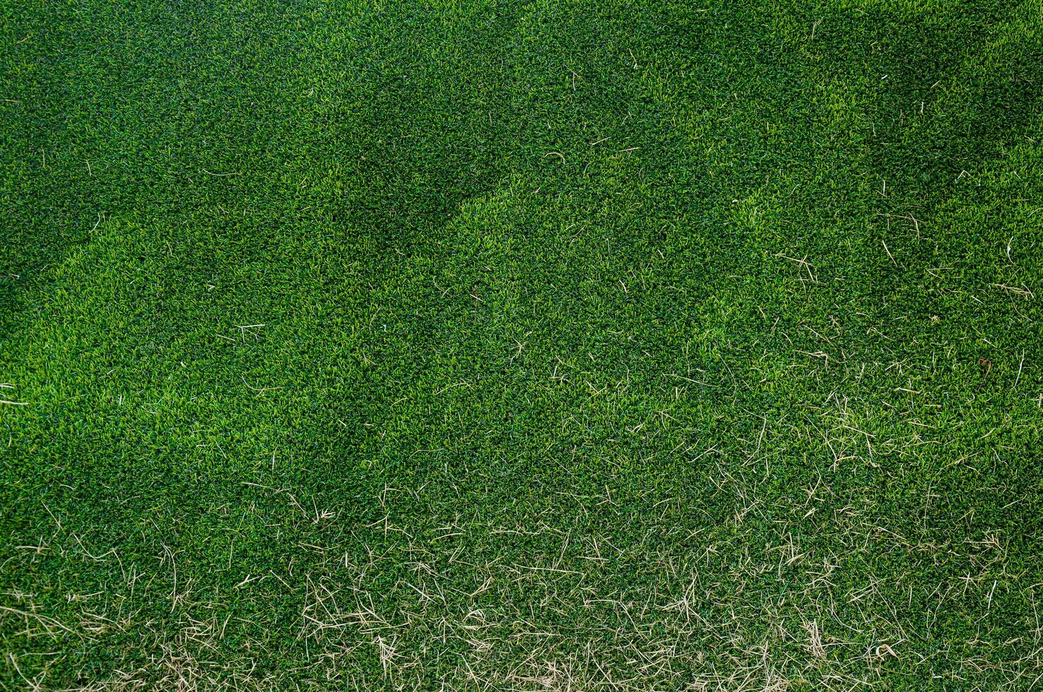 artificial  green grass and dry grass for background photo