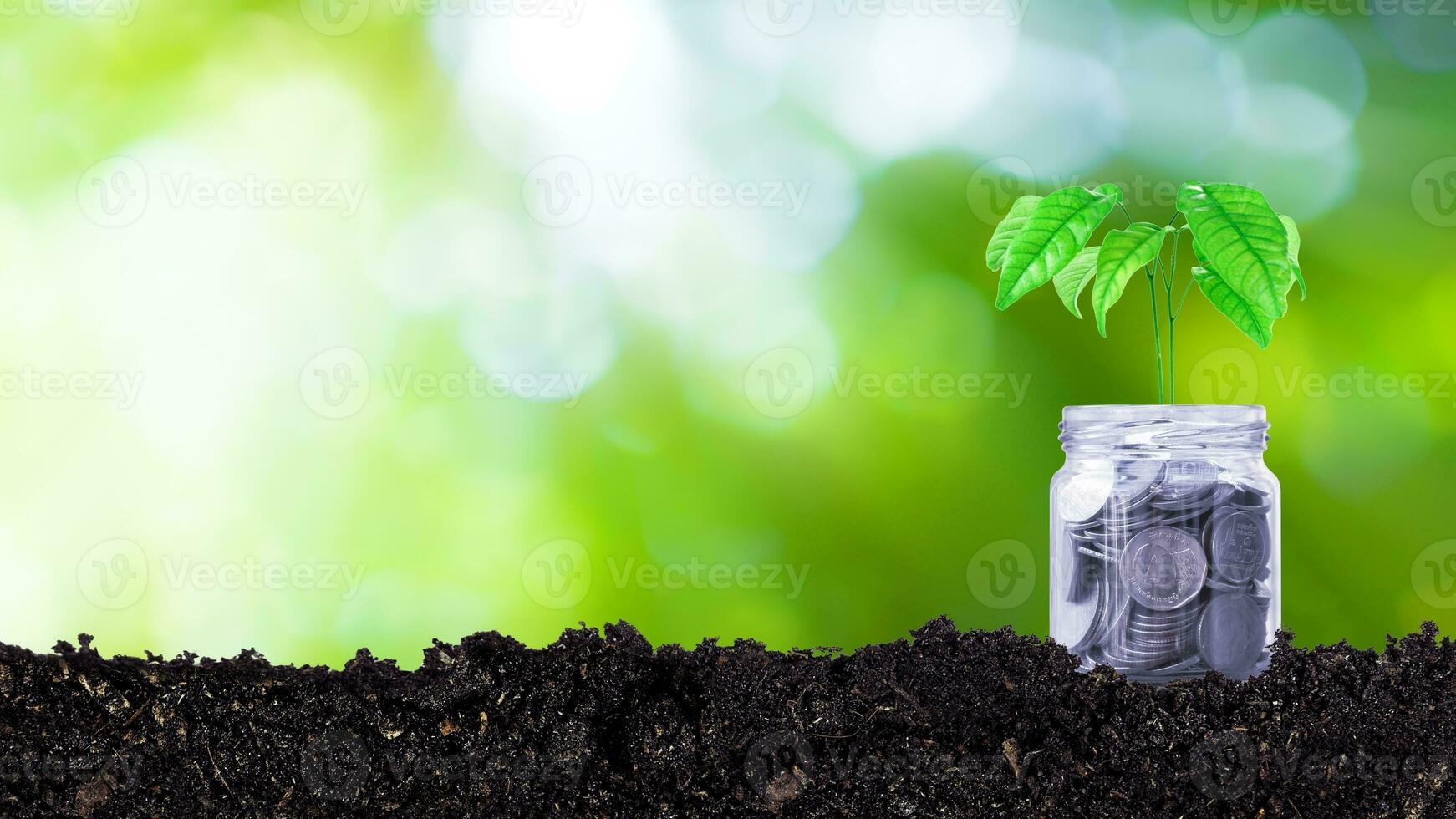 Coins in glass jar with plant on top putting on soil with sunlight bokeh green background. Financial investment ideas for future growth profits, trees growing on coins photo