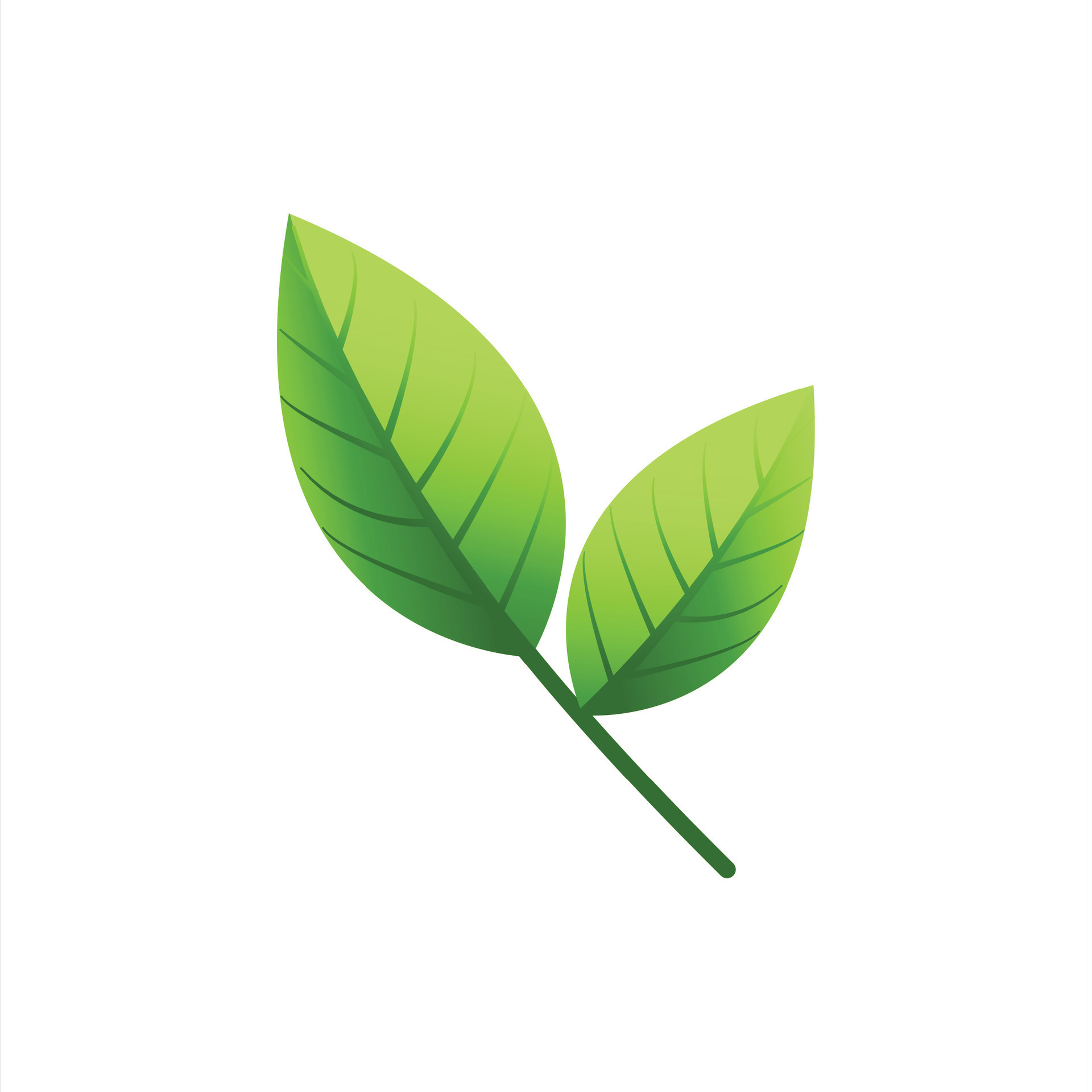 Green tea Leaf Flat icon 27118146 Vector Art at Vecteezy